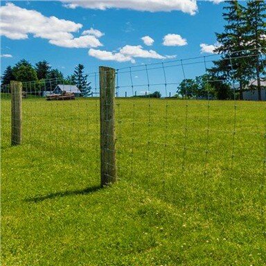 גדר חיה בחווה